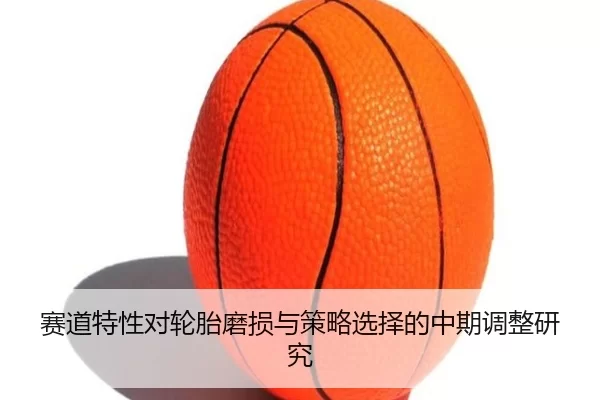 赛道特性对轮胎磨损与策略选择的中期调整研究